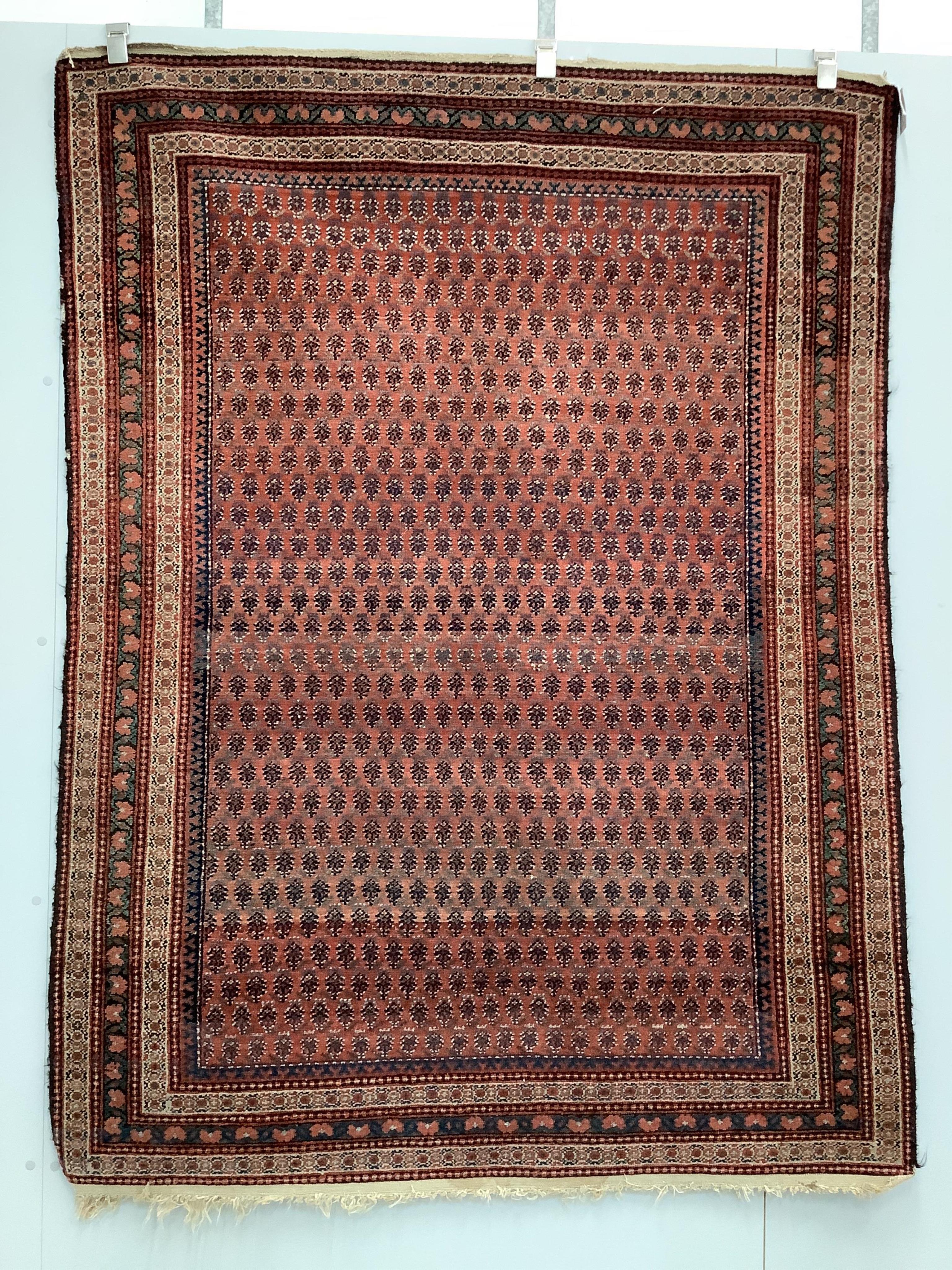 A Saraband pink ground rug, woven with rows of botehs, 190 x 144cm. Condition - fair